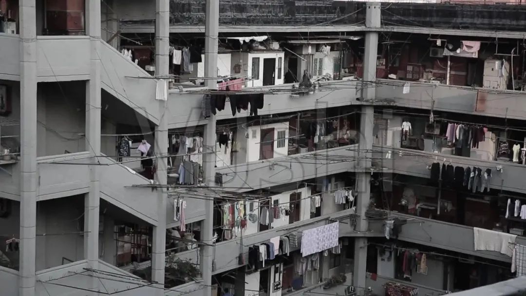 法医秦明小说燃烧的蜂鸟,法医秦明燃烧的蜂鸟好看么