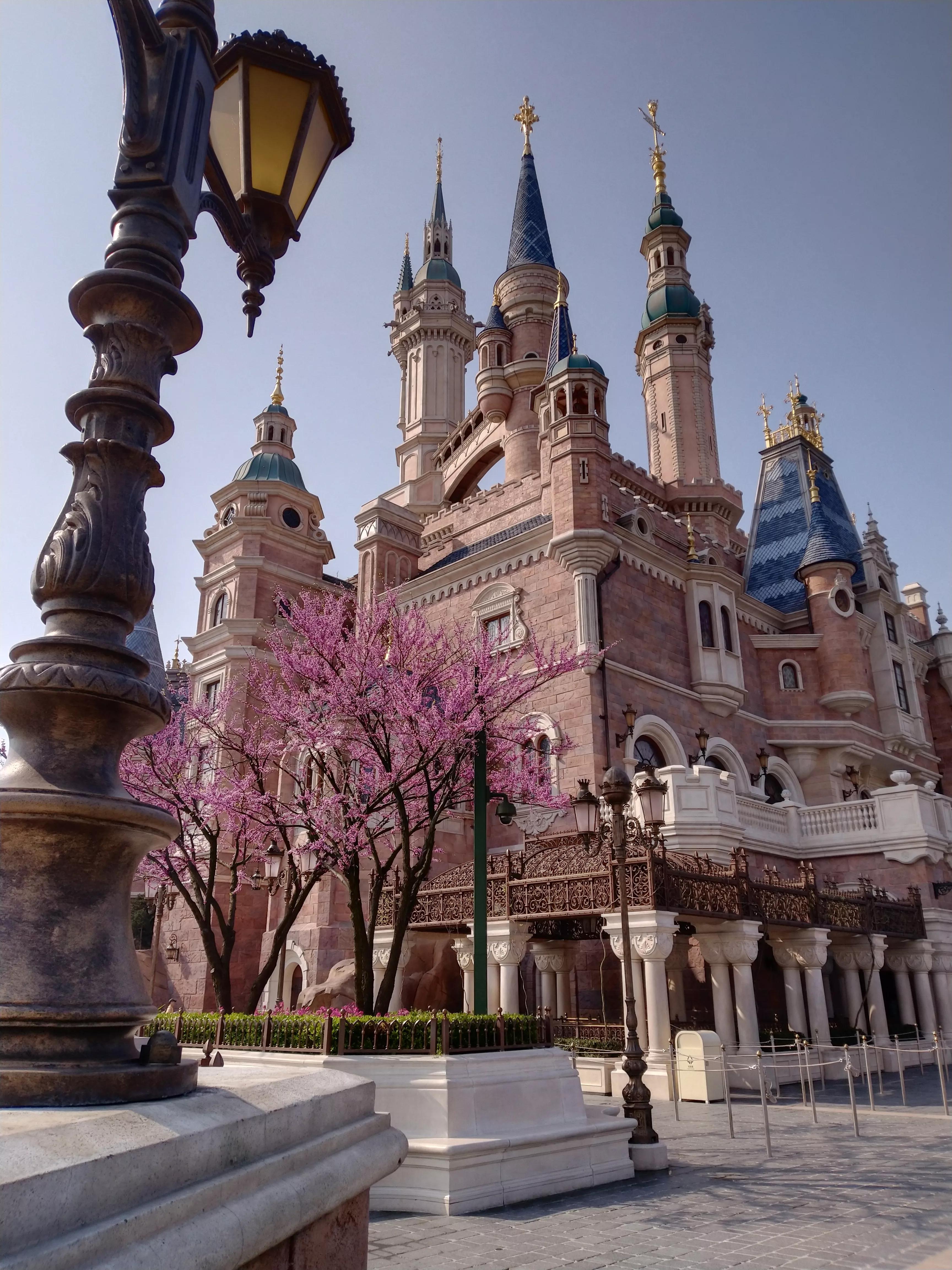 每个大人都曾经是孩子吗,每个大人曾经都是小孩儿