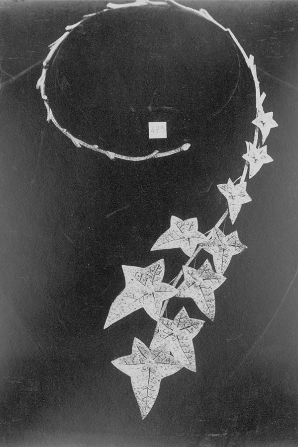 国民女神买了21件的幸运物是它