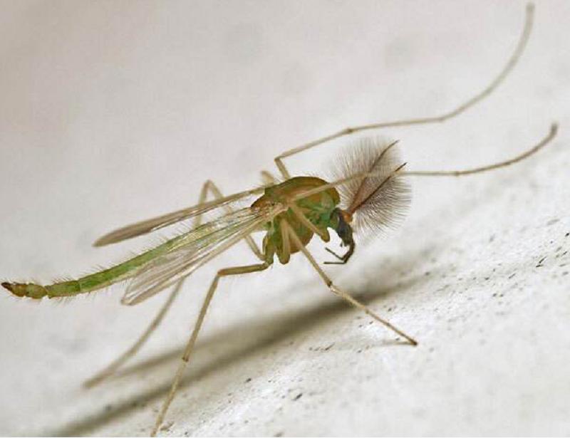 水蚯蚓多少块钱,捕蚯蚓违法吗