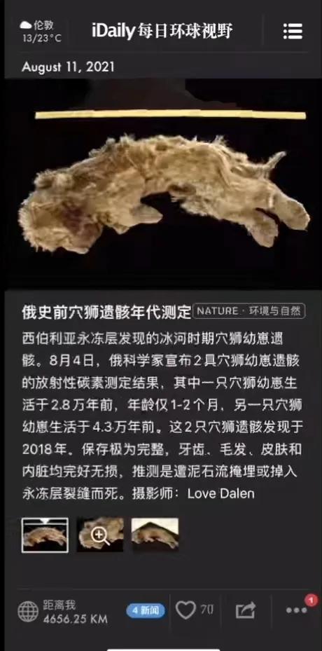 充实又高效的一天神仙app推荐,10款超级好用的神仙级app