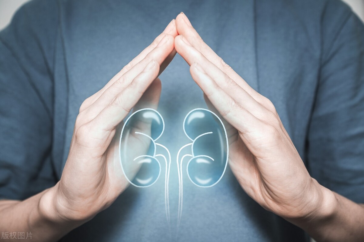 补脾补胃补肾有什么中成药,补心补肝补肾补脾药