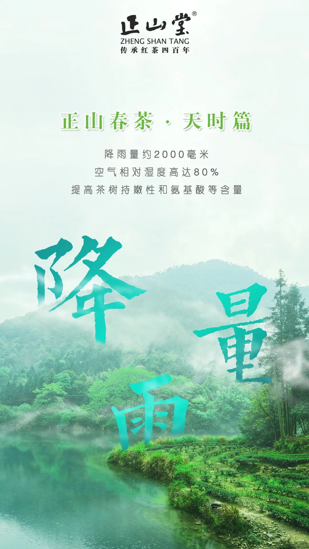 鹰潭金骏眉加盟要什么条件,国内品质好的金骏眉加盟条件