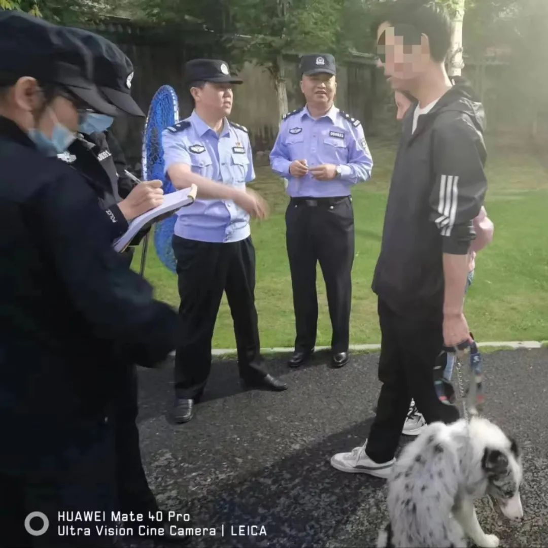 文明城市因不文明养犬被处罚,抚顺整治不文明养犬