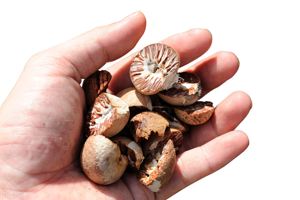 槟榔是不是属于软性毒品,中国六千万人上瘾的槟榔