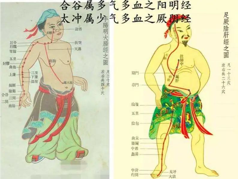 一切气病，先开四关，首尾呼应，阴阳相配，疏通气血