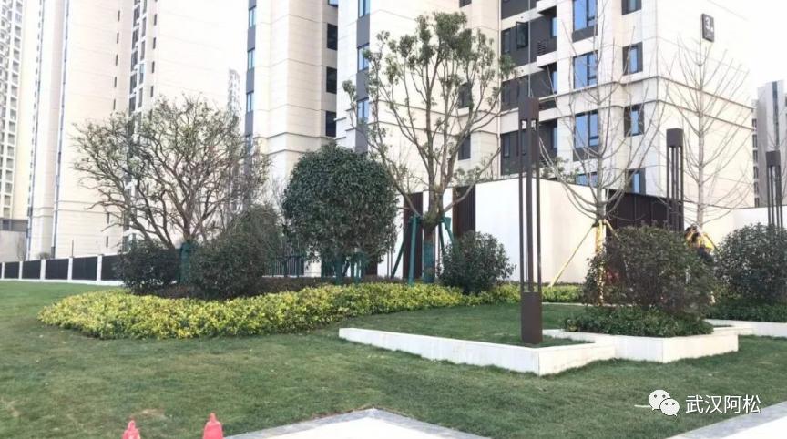 武汉最近新开的盘,武汉上周共8个楼盘入市