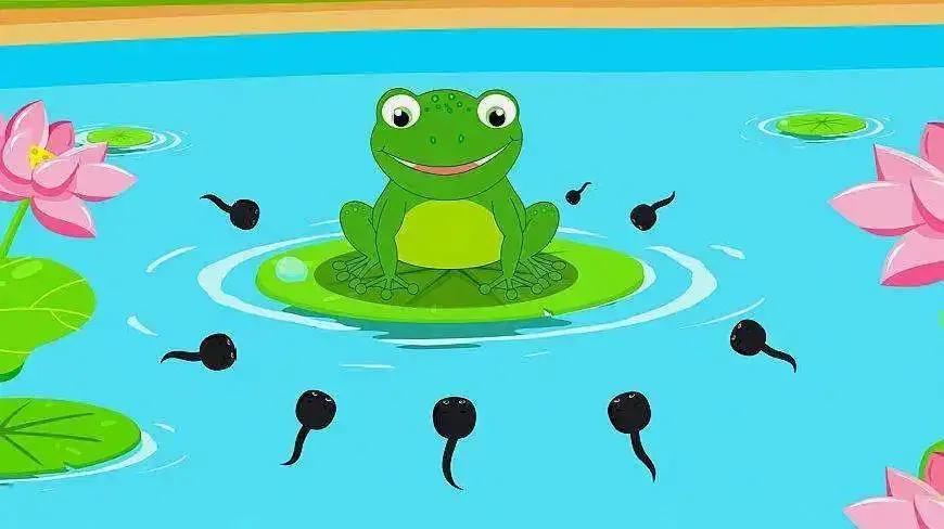 小蝌蚪找妈妈是第一部什么动画片,小蝌蚪找妈妈