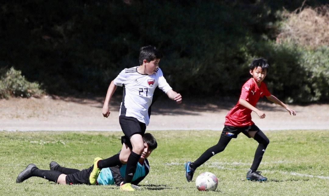 最坑人的培训班,最坑人的培训机构有哪些