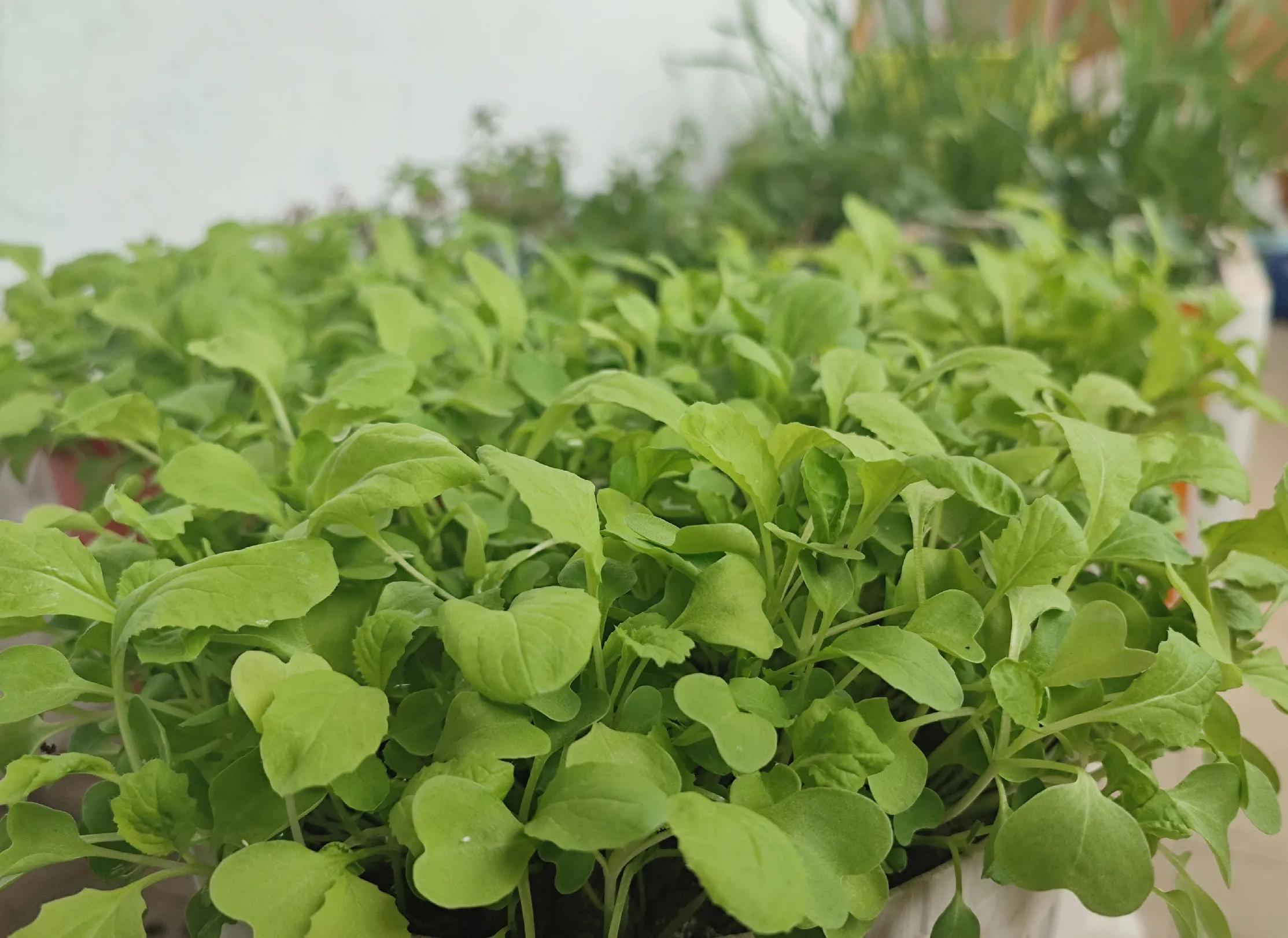 为什么要在实体店买东西？实体购物与网络购物的区别