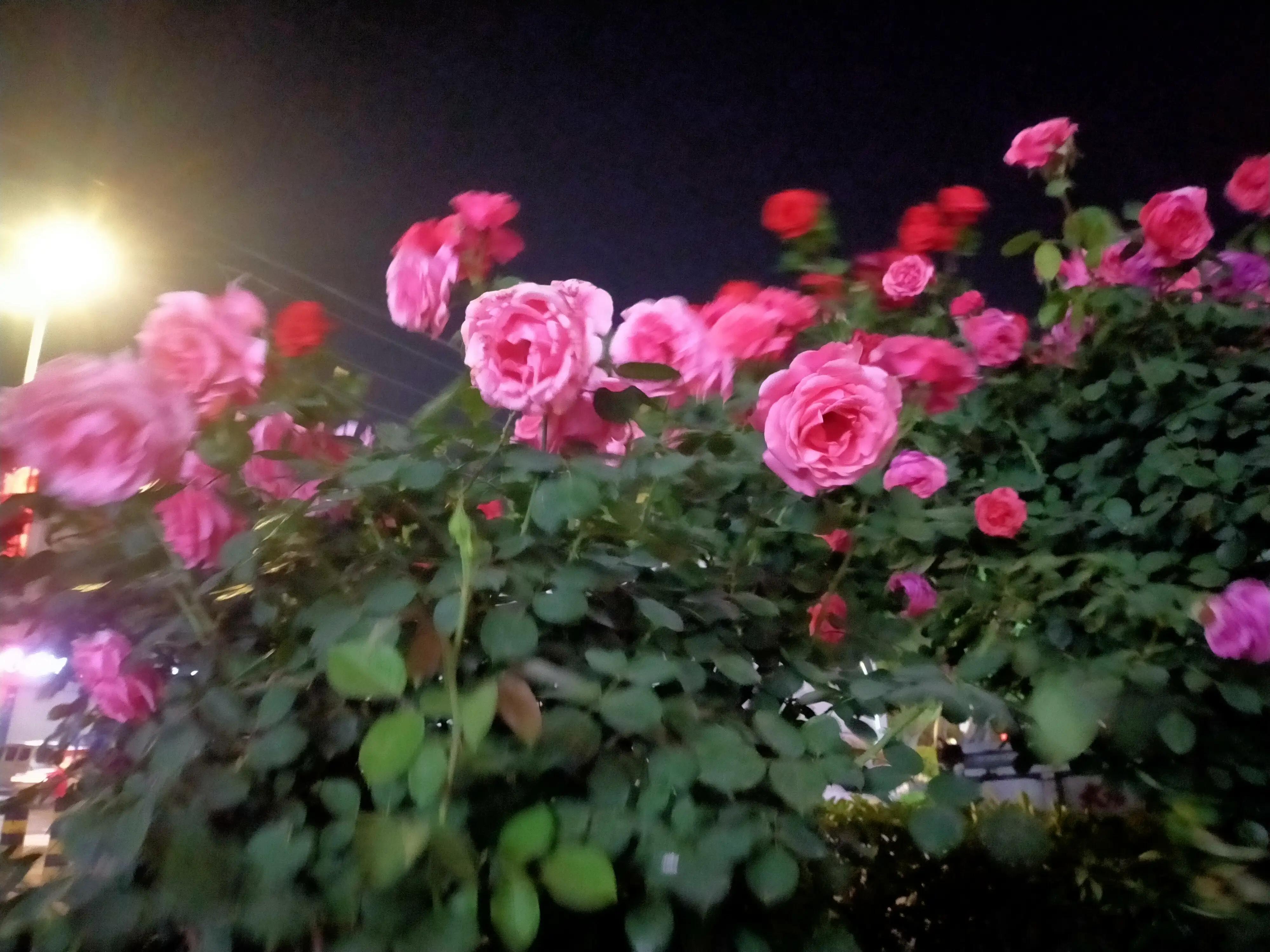 忘关车窗下雨进水的正确处理方式,汽车车窗忘了关淋雨了怎么办