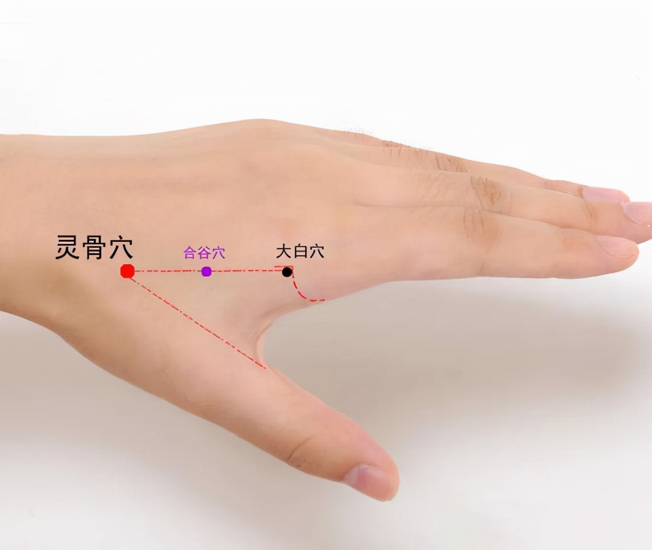 中医经络调理针灸视频,中医针灸规范处方范例