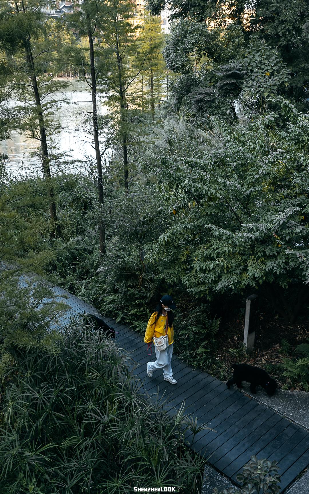 大美深圳全部视频,大美宝安