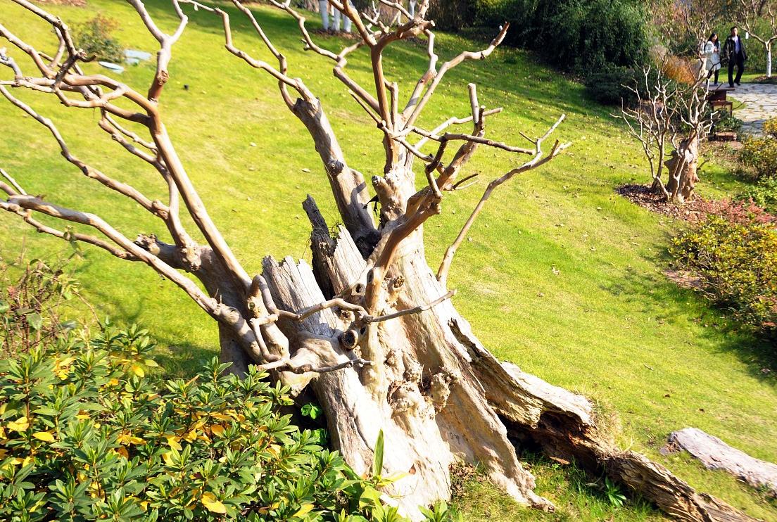 民间说的出了五福是啥意思,五福命格是指哪五福