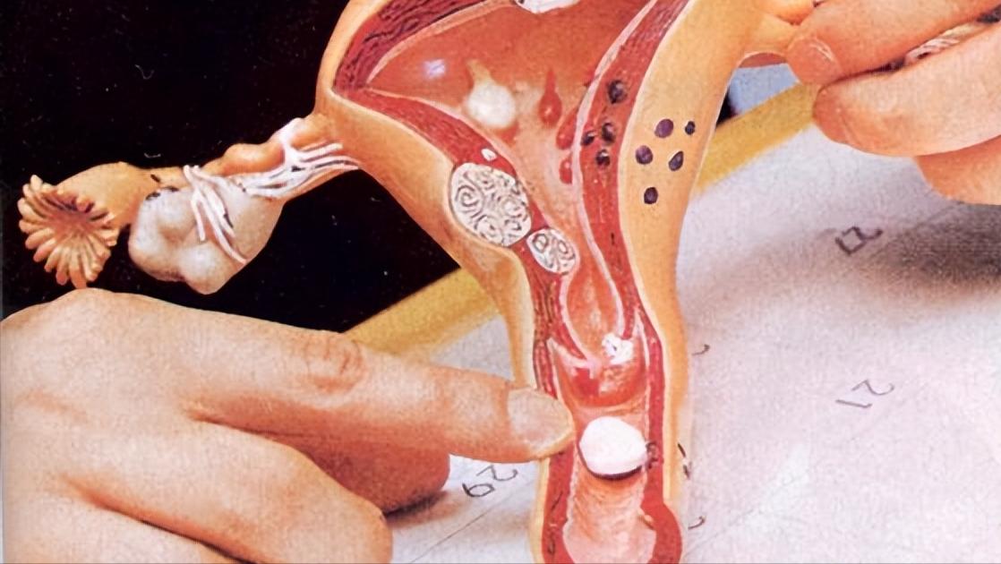 已婚女人为什么容易得妇科炎症,为什么已婚女性妇科病就很多