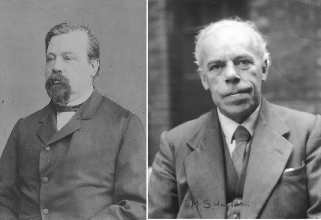 长达200年的解谜过程：鱼类曾经用我们的耳朵来呼吸