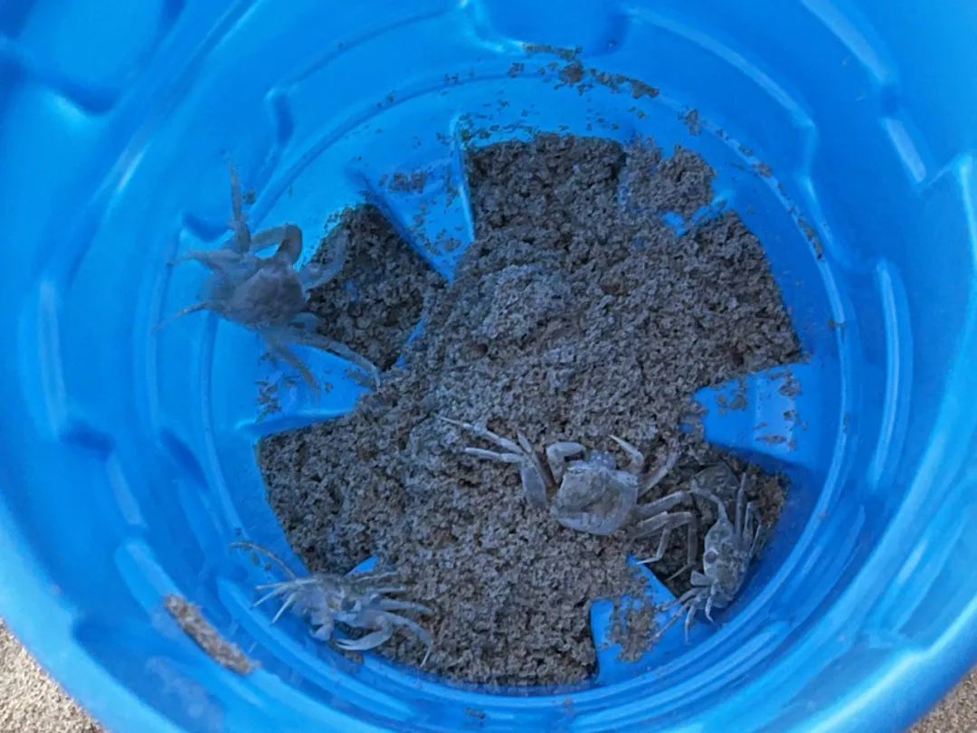 三亚土福湾嘉佩乐酒店,三亚私密别墅