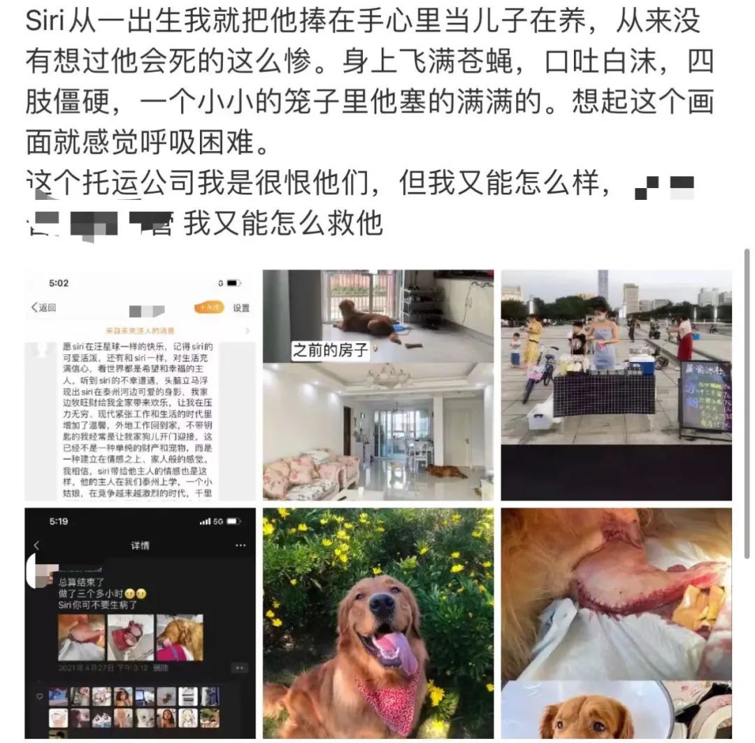 她惨死却热搜下架，你们满意了？