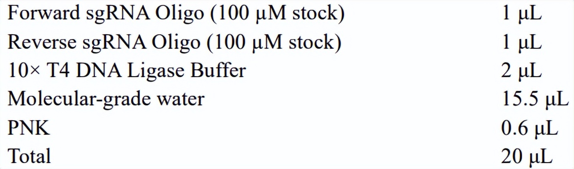crispr蛋白质,crispr最新成果