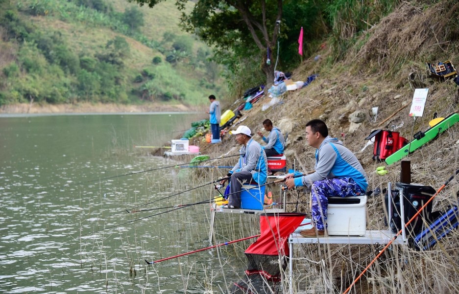 钓鱼各种专业术语的意思,钓鱼人要知道的基础知识