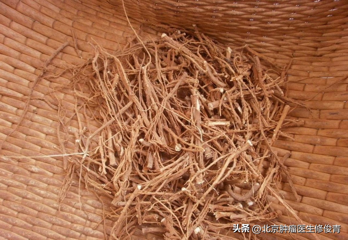 土方治肠癌的药方,王三虎治疗肠癌医案