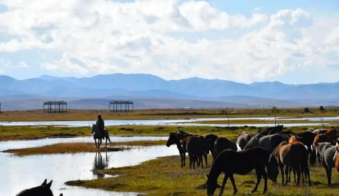 甘肃省各市颜值排名,甘肃省各市照片