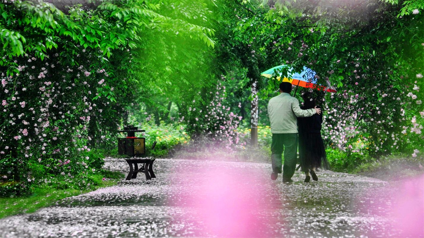 春情春思春景赏，春思春念春日长