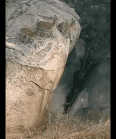 口渴难耐吃什么,口渴快速止渴方法