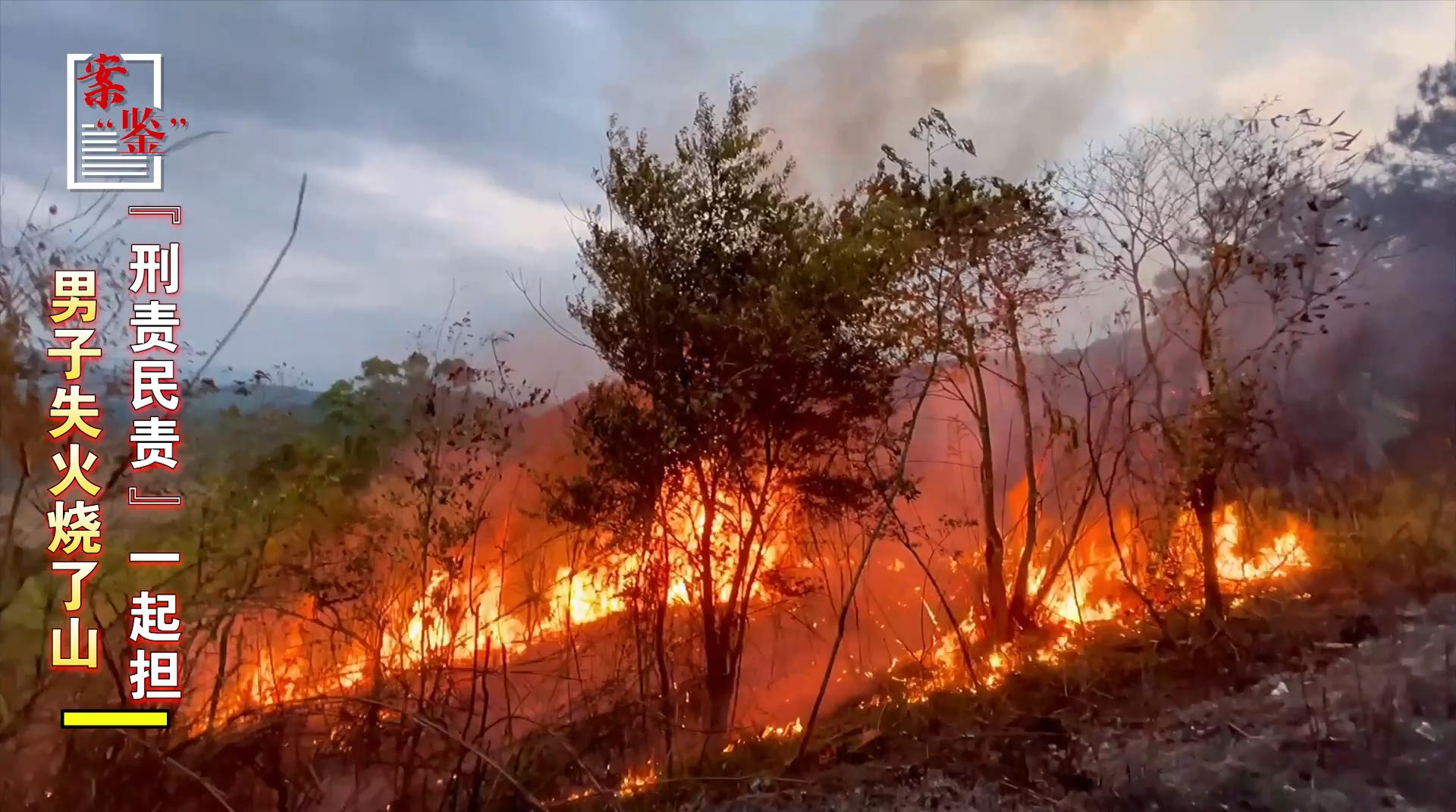 失火烧了山，“刑责民责”一起担｜案“鉴”51