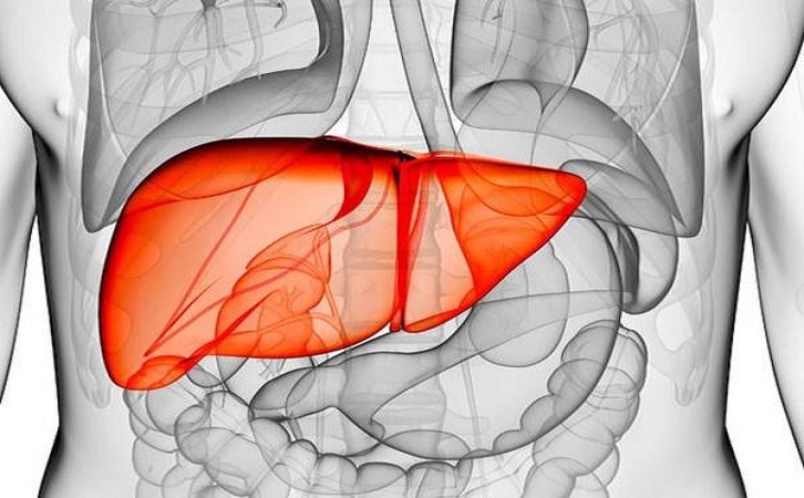 肝郁脾虚和脾虚的舌图,肝郁脾虚和脾虚的区别