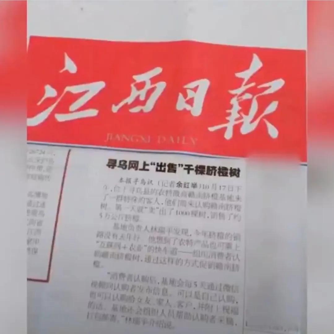 愚公移苍山荒山化作聚宝盆,200亩荒山变成聚宝盆