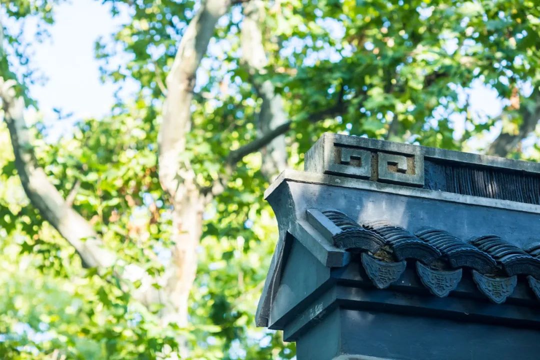 100篇美到极致的古文,10篇最美古文