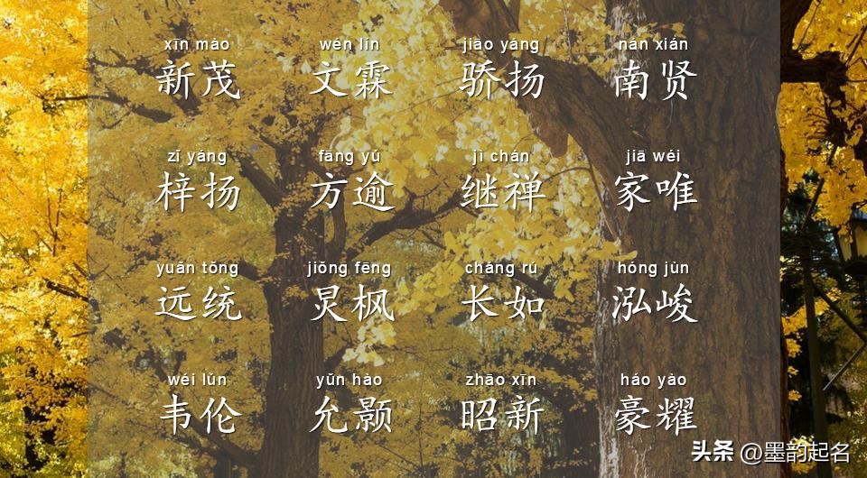 秦姓男孩名字诗词,诗词取名男孩名字大全集