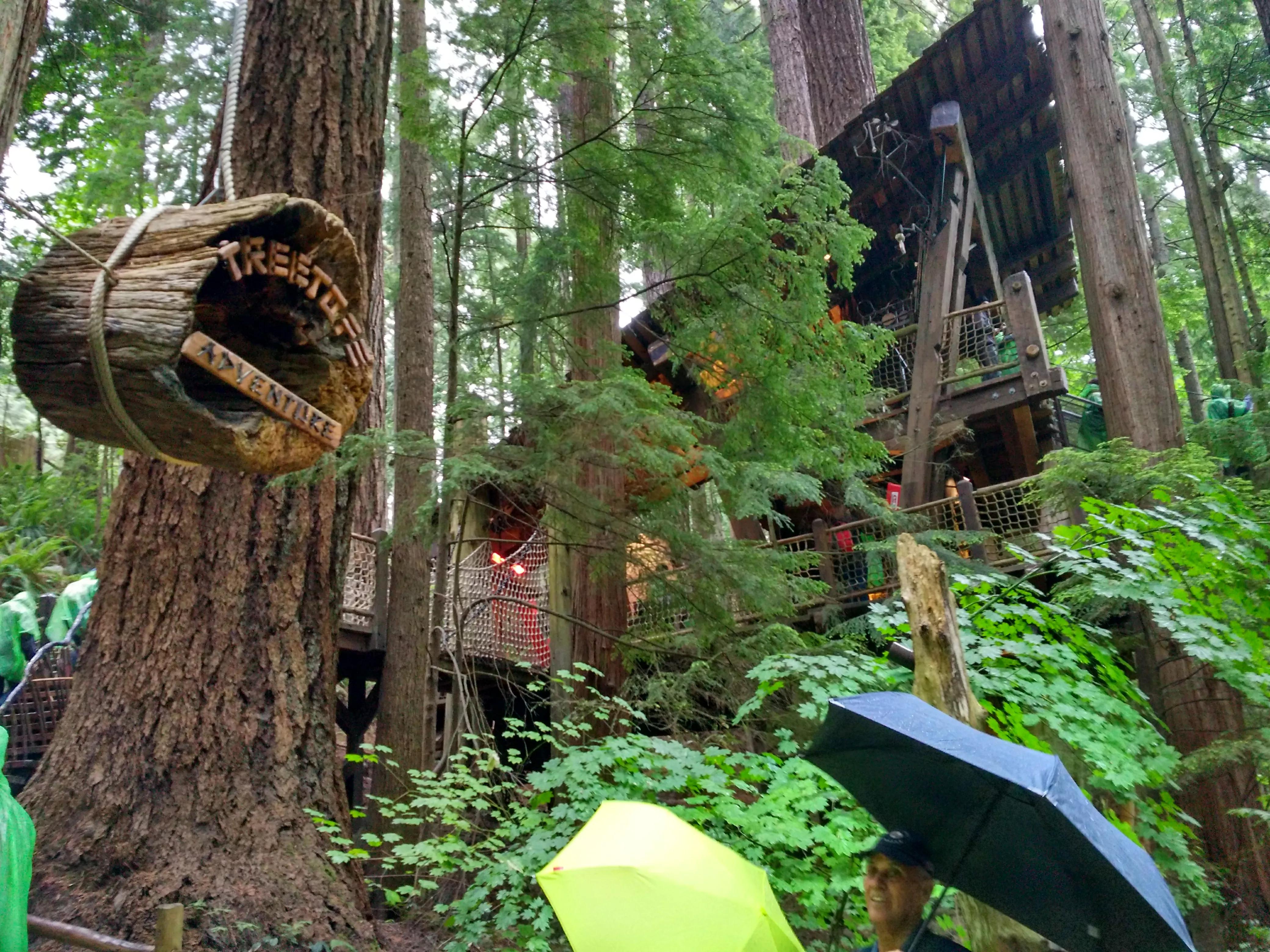 北美聚集地,加拿大华人最密集的城市