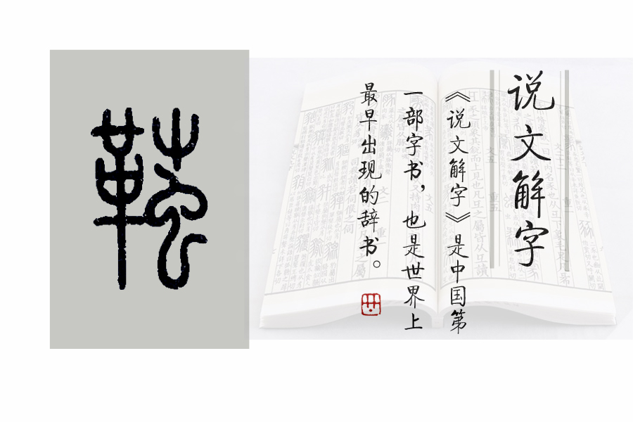 说文解字194课视频,说文解字部首540讲解