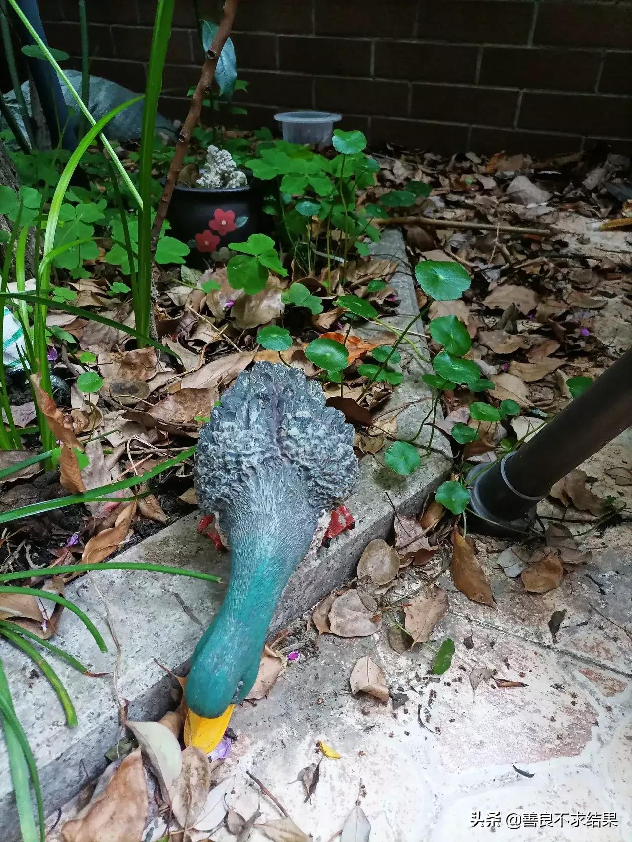 古朴的“农家小院”,总是备受人们喜爱