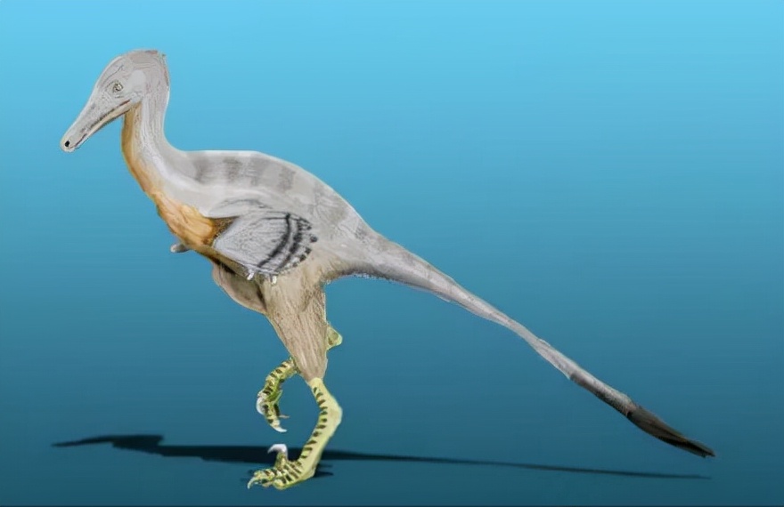 恐龙立体书科普恐龙,恐龙科普全集