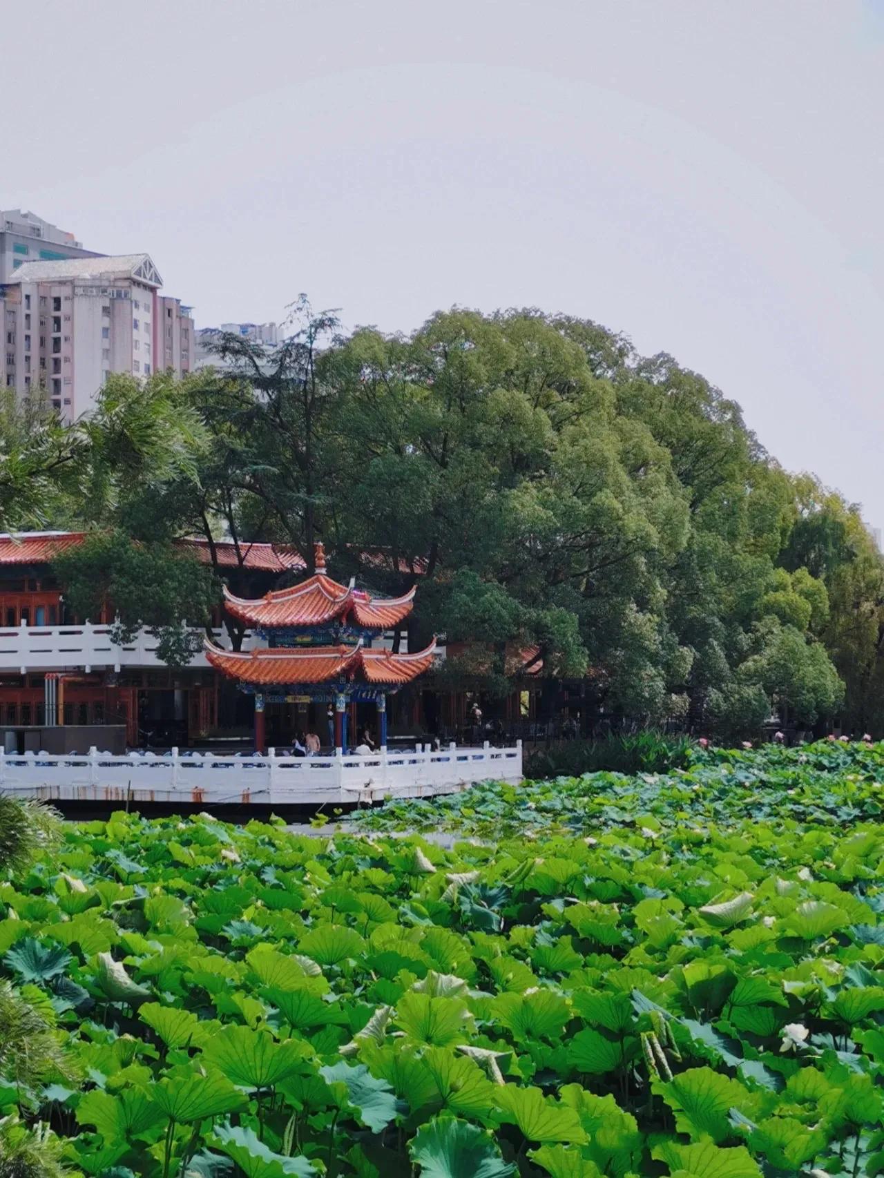 昆明一日游超详细旅行攻略,昆明西山一日游最佳攻略