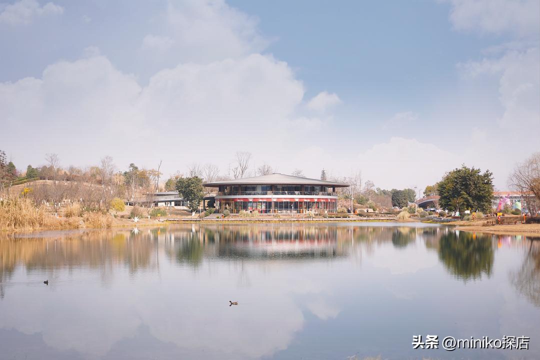 成都不得不去的文艺中式茶馆,带你打卡成都老茶馆