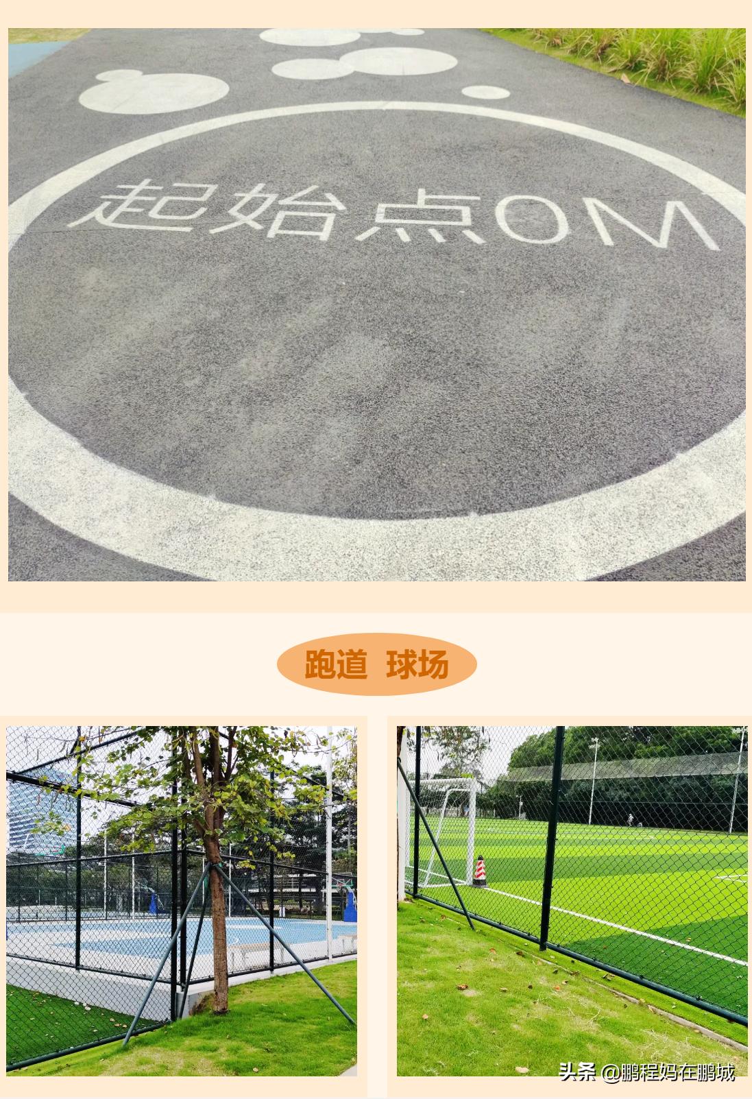 深圳龙华区观澜中心公园,龙华观澜中心公园