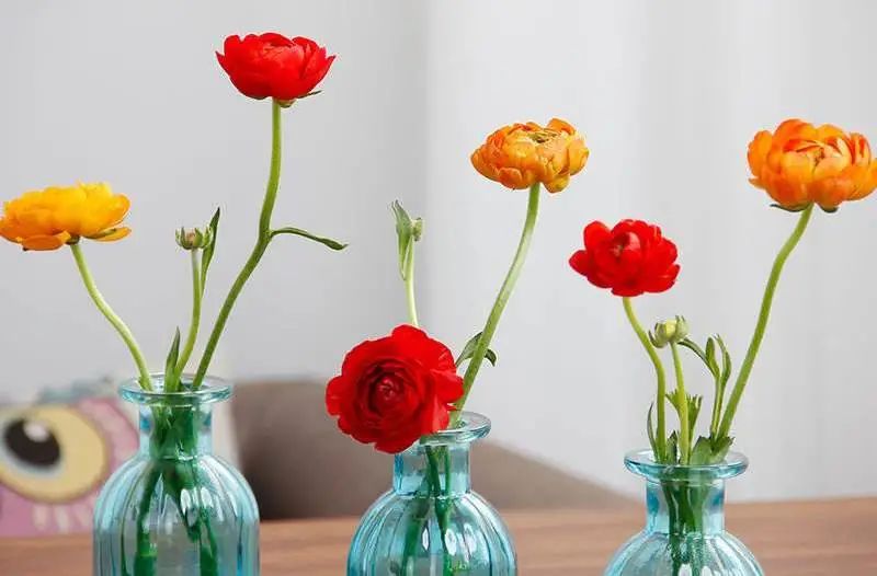 三月花事Vol.2|那些属于女神们的花