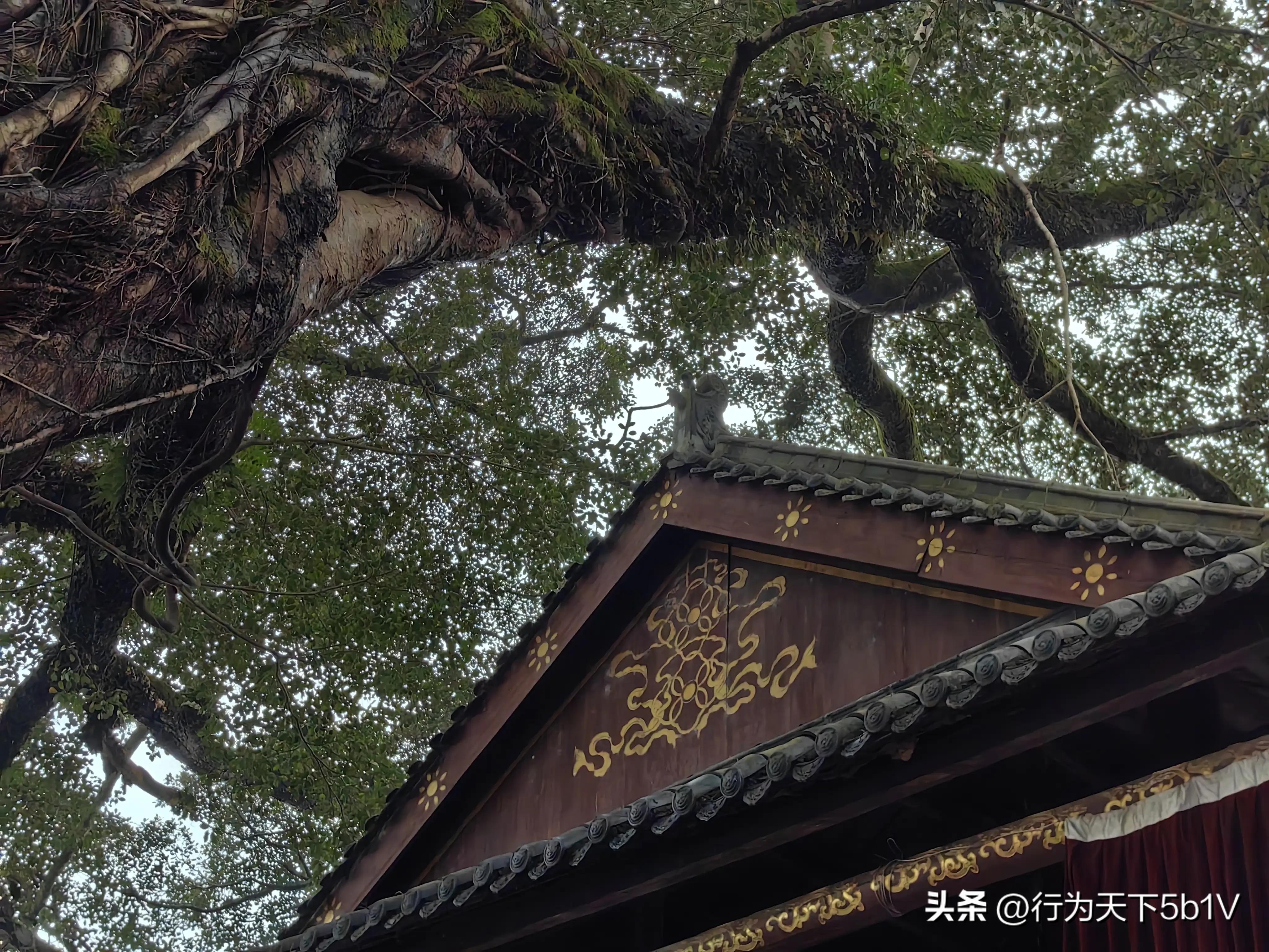 【平乐十里画廊鬼斧神工伟人石像】穿越唐*平宋**乐榕津千年古镇！