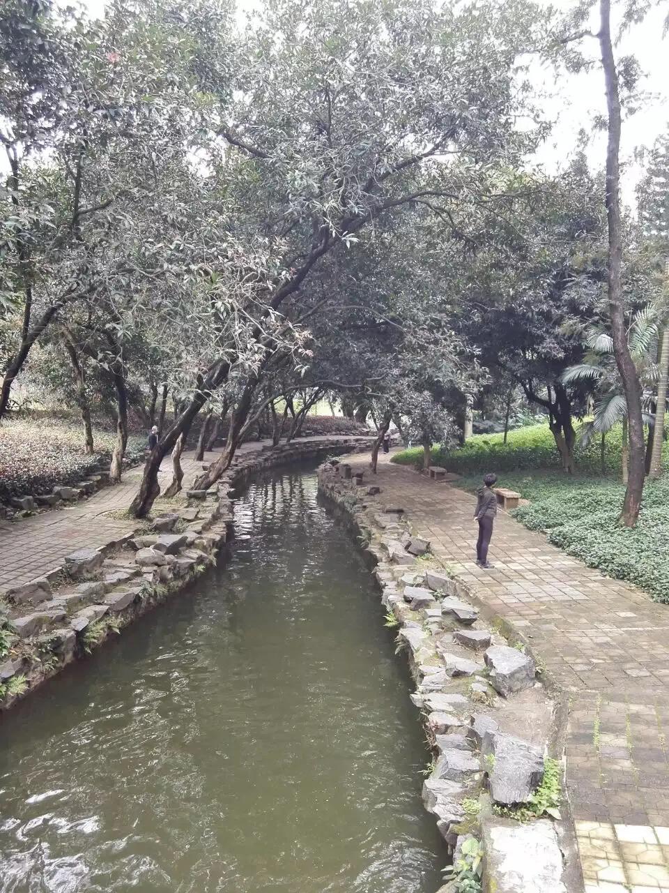 深圳美景荔枝公园,荔枝公园位于福田和罗湖交汇处