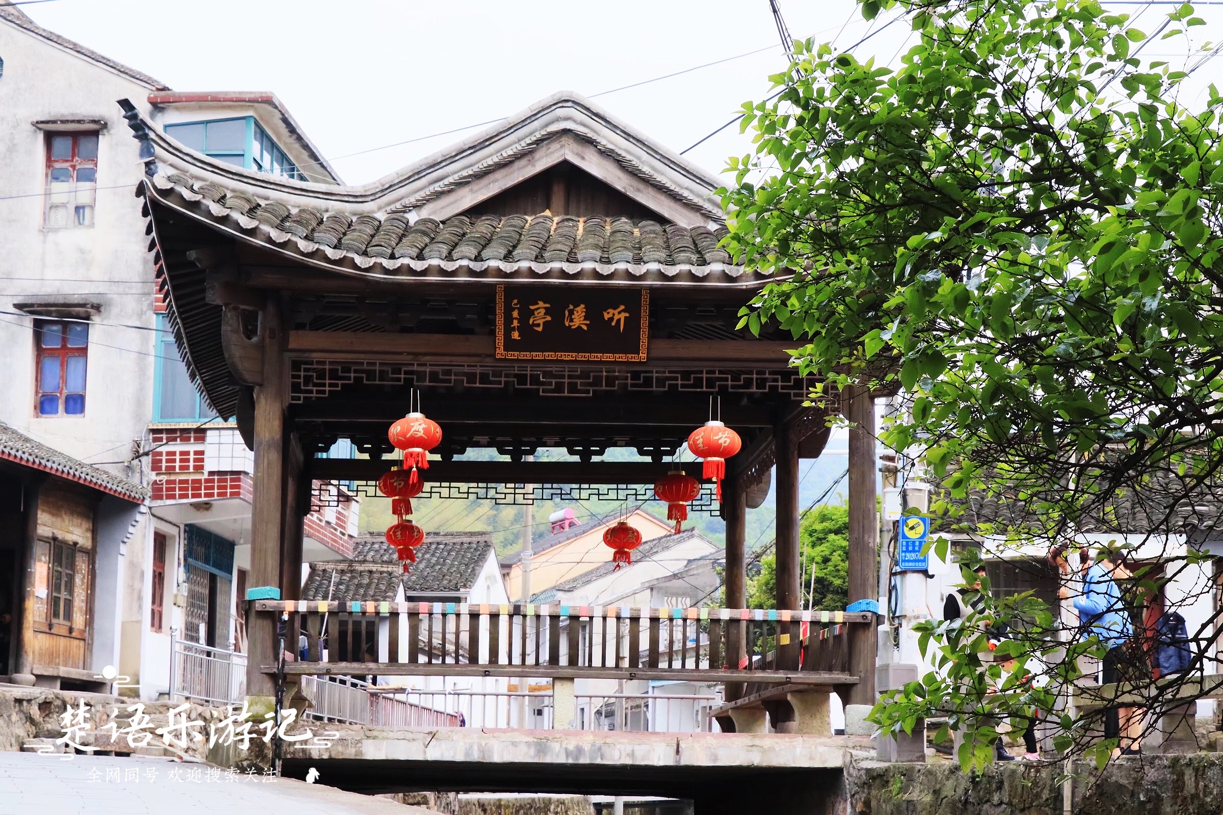 宁波东钱湖古村网红打卡地,宁波东钱湖湿地秘境