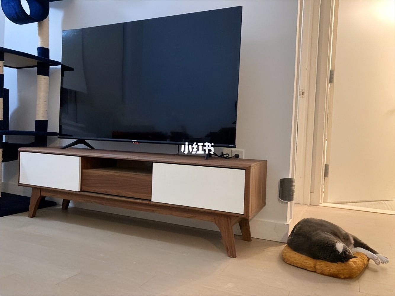 电视评测最有性价比电视,买哪款电视质量画质好多功能便宜