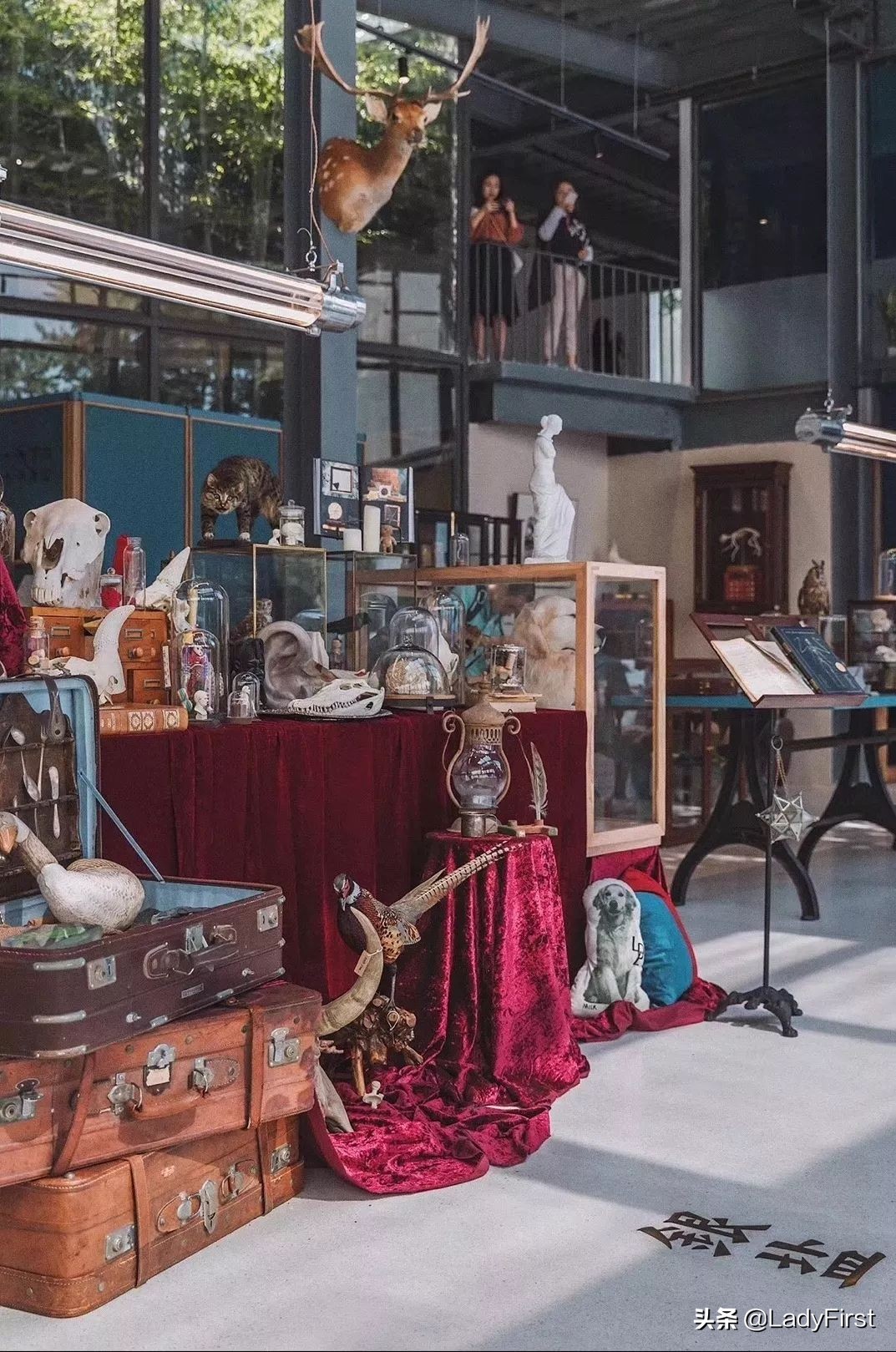 人少景美值得买吗,人少景美值得一去