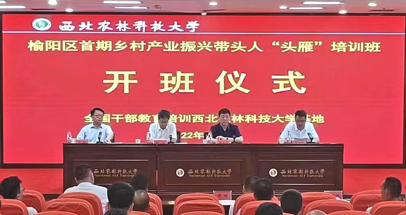 打造新型产业集群服务乡村振兴,做强主导产业助推乡村振兴