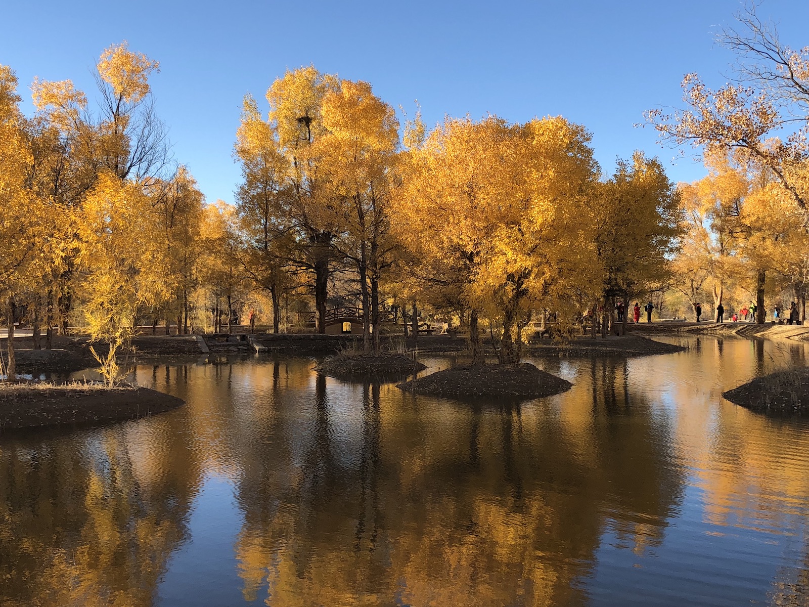 北京自驾额济纳胡杨林十天攻略,从北京到额济纳胡杨林线路