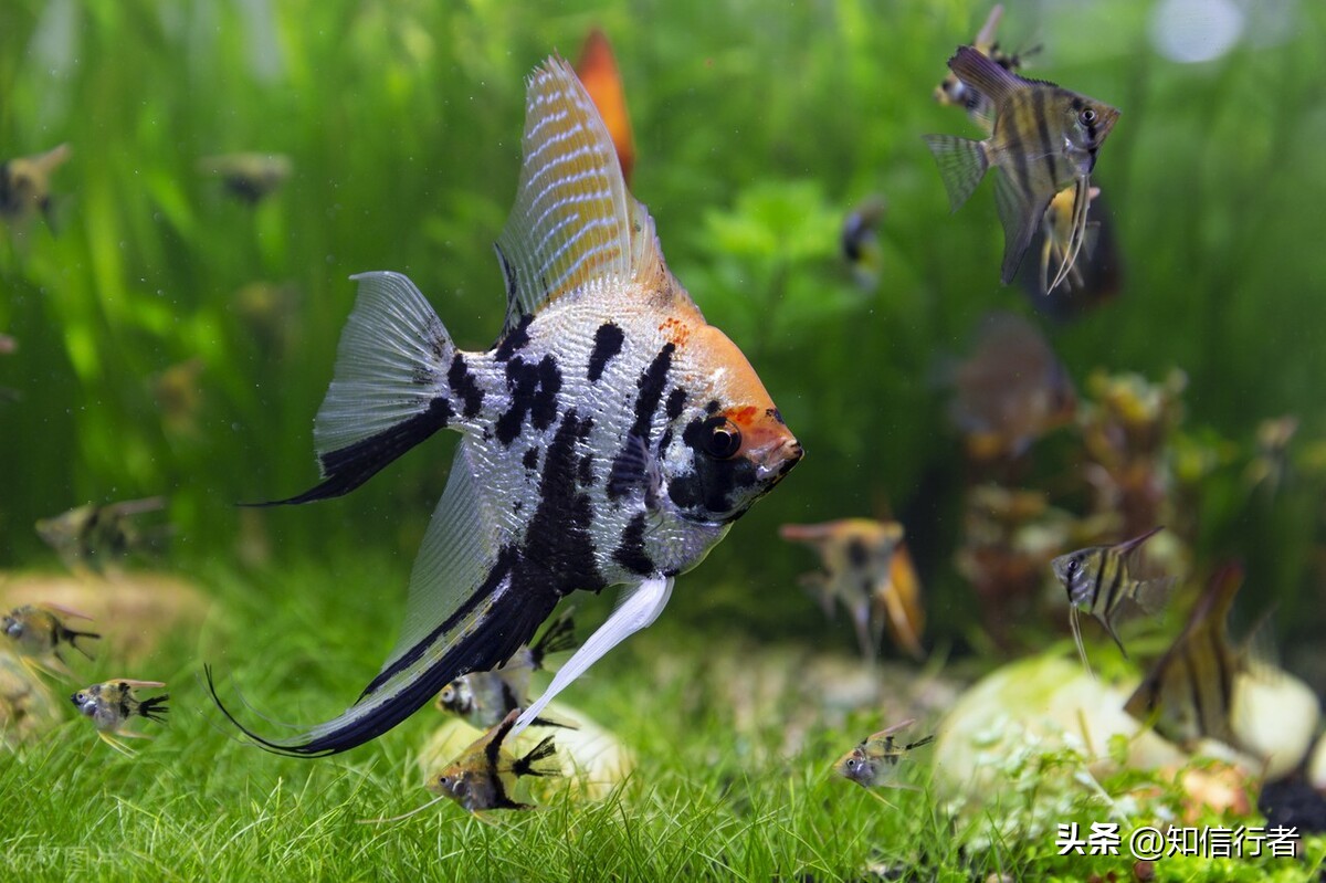 逆向思维的8种盈利模式,运用逆向思维打破陷阱助你成功