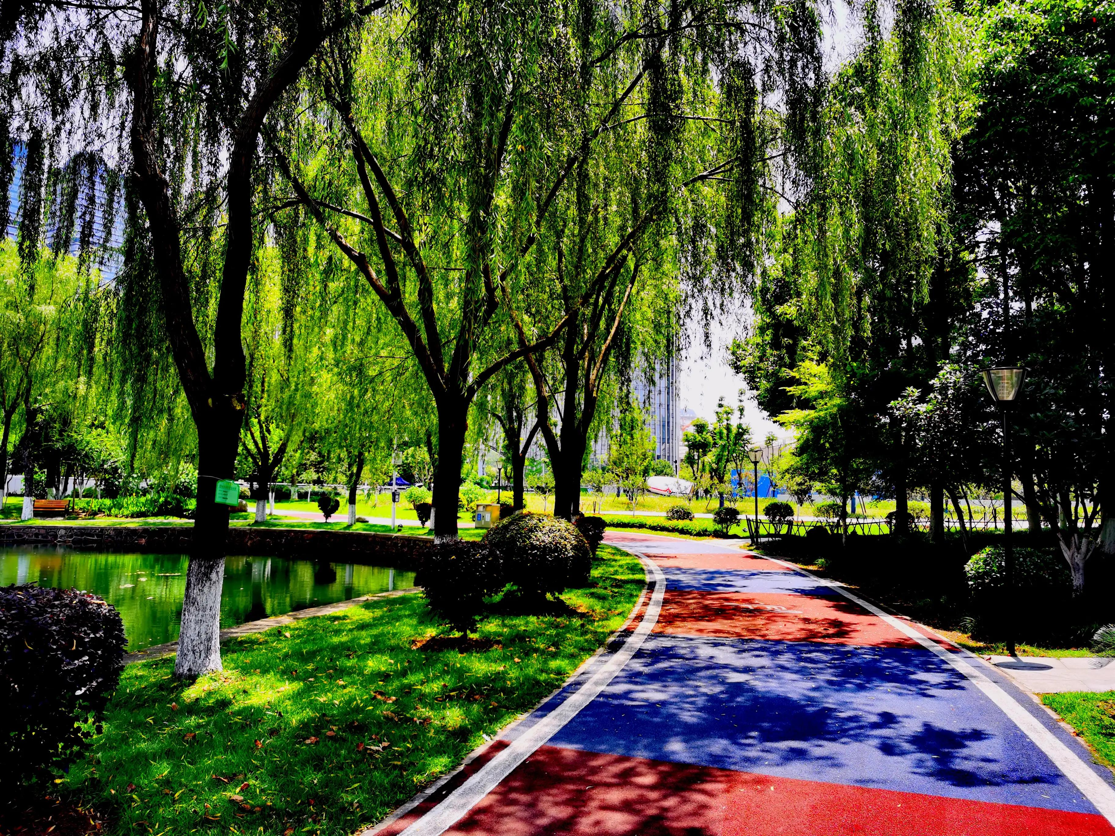 武汉四美塘公园开园了吗,四美塘公园和武昌生态文化长廊